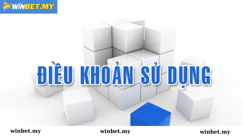 Điều khoản sử dụng tại nhà cái Winbet